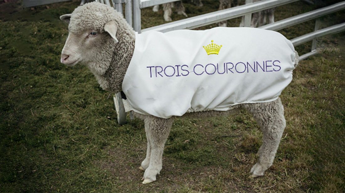 Шерсть от счастливых овец Шерсть от счастливых овец